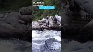 Sharan jungle water fall |Kagaan valley #kpk #waterfall