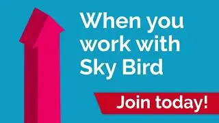 Sky Bird Animation 3