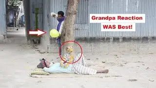 Fake Tiger Prank on Grandpa 😂  Funniest Reaction Ever