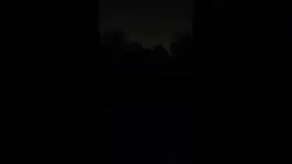 Sound Of Wind And Trees At Night  💨🌳💨🌳 Nature Sounds #shorts