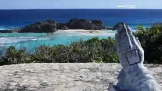 PROGRAMA RADAR TELEVISION COM APRESENTA&Ccedil;&Atilde;O DE OCTAVIO NETO - TURKS AND CAICOS ISLAND
