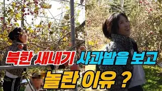 북한 새내기 가족의 한국에서 사과따기 첫 경험!