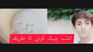 Egg water test | Egg freshness test water | Egg checking good or bad  | Mudassir aziz