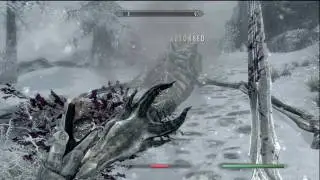 Skyrim :: TheNiceWhiteGuy vs. Dragon in Winterhold