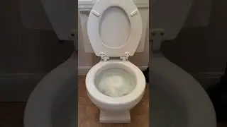 Vintage 1950 American Standard Cadet toilet tp test FAIL