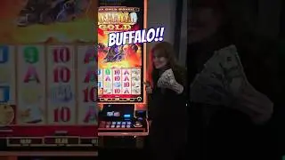 Buffalo Slots Just Got OUT OF HAND!