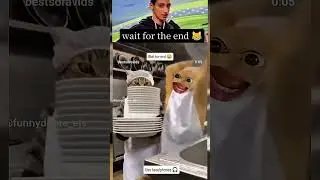 Cat Comedy: This Kitten's Epic Fails Will Make You Laugh!  #funny #ekmotahathighumechala #memes