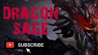 Rohan M - Dragon Sage Skill and Damage Test ( PVP )
