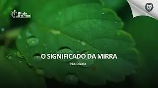 P&atilde;o Di&aacute;rio |  O significado da mirra    (Minuto.Devocional)