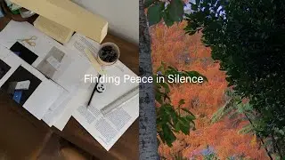 Finding peace in silence - A reflection on winter 2024