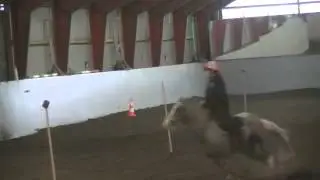 Victoria & Silvera - Training with Rob Taylor