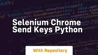 selenium chrome send keys python