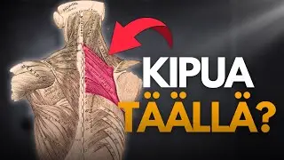 Poista KIPU lapojen V&Auml;LIST&Auml; ❗️ I Kehokompassi