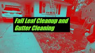 Fall Cleanup with gutter cleaning
