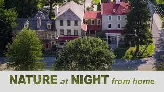 Nature at Night: Where Preservation Meets Conservation