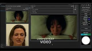 ComfyUI LivePortrait Video to Video and image to Video