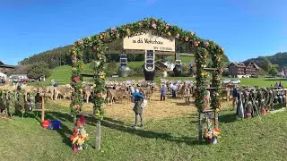 Viehschau Lütisburg – Tufertschwil im schönen Toggenburg – Sennisch nach alter Tradition.