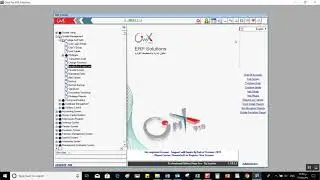 ONYX ERP - интерфейс Onyx Pro