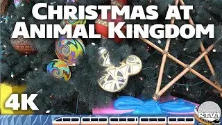 Christmas at Disney's Animal Kingdom 2018 - 4K | Walt Disney World