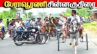 பேராவூரணி சின்னகுதிரை 27.01.2026