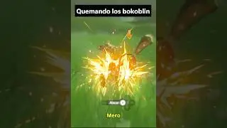 Quemando Los Bokoblins Zelda Botw