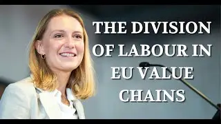 The Division of Labour in EU Value Chains and its Implications for CEE Economies