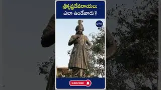 శ్రీకృష్ణదేవరాయలు ఎలా ఉండేవారు? | ap7am