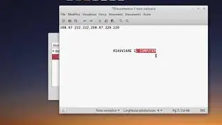 OpenDNS Linux