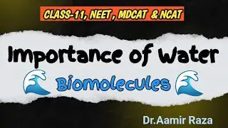 Importance of Water || Biomolecules || Biology || Class-11 || Neet || Mdcat || Ncat 