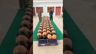 Pakistani vs India moqabla #balloon #ballongame #viral #poppballons #gamechallengeathome