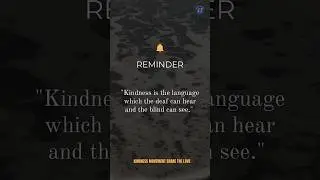 Kindness is a language #kindnessmovement #fypシ゚ #fypシ゚viral #inspiration