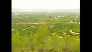Programa televisivo sobre la naranjas ecológicas en Punt2 tv valenciana