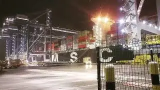 MSC ANA GEMI DUBAI PORT YARIMCA