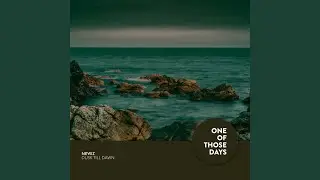 Dusk Till Dawn (Radio Edit)