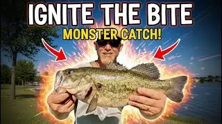 Ignite The Bite Ep.1 (Fall Bank Fishing for MONSTER Bass!)