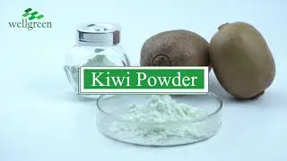 Kiwi fruit powder