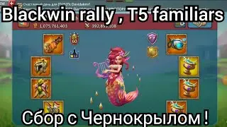 Lords Mobile - Прайдоха принимает сбор!? Ловушка приняла 6 сборов!? INF REIN TRAP GOT 6 RALLYES !