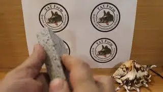 Shark Shad-12 см-акула-1100-00 руб- форма