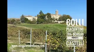 Colli piacentini. Cosa vedere fra borghi, vigneti e castelli