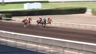 L.A. County Fair 2013 - Barretts Horse Racing