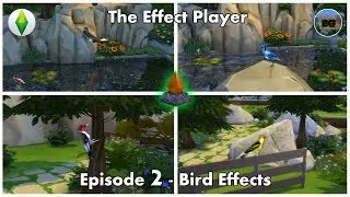 The Sims 4 Effect Player - Episode 2 - Bird Effects