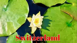 Baden, Switzerland | Walking Tour Around The Small Town
