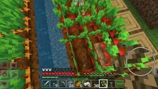 Area 51 seed in minecraft?!