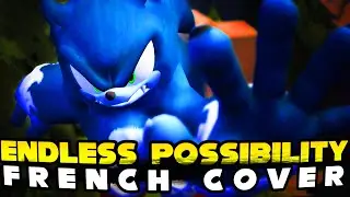Endless Possibility - Sonic Unleashed - French Cover