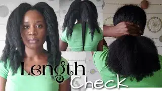 My 6 Month Natural Hair Growth Update. 4C Hair Length Check, more than 4 Inches Growth? 🤔