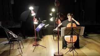 Elf Dance No. 12 for solo cello (2024) , Maksimir