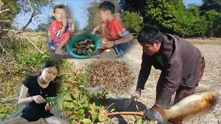 หมิงไขหมดสมใสปา//ໝຶ້ງໄຂໜົ້ດສົມໃສປາ1 มกราคม ค.ศ. 2026