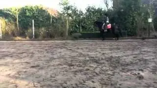 rakker
