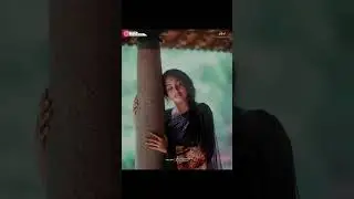 Meghla Dine Meghla Mon |  Bajimaat - 2008 | Soham Chakraborty, Subhashree| #Pradip_Creation#bengali