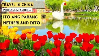 TRAVELING IN CHINA Filipina reacts to beautiful flowers in China l Feels like Holland -  Part 2 CC